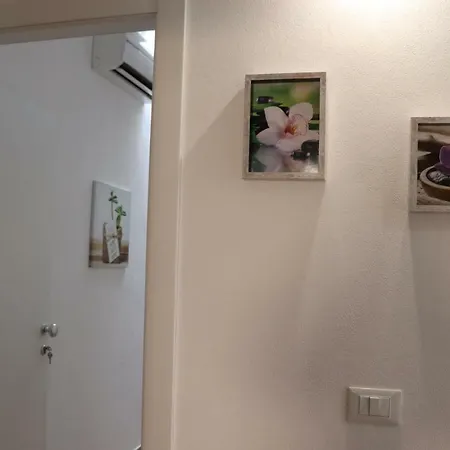 아파트 Casa Mapatri